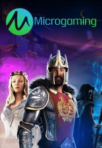 35.microgaming-207x300-1